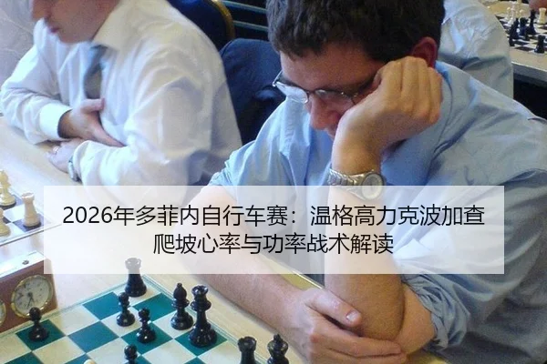 nian-duo-fei-nei-zi-xing-che-sai-wen-ge-gao-li-ke-bo-jia-cha-pa-po-xin-lv-yu-gong-lv-zhan-shu-jie-du-2-784.jpg